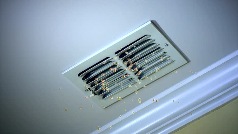 Best Ventilation Cleaning Services  in Traverse City, MI